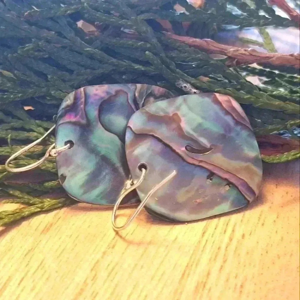 925 Steeling Iridescent  Abalone Shell Earrings